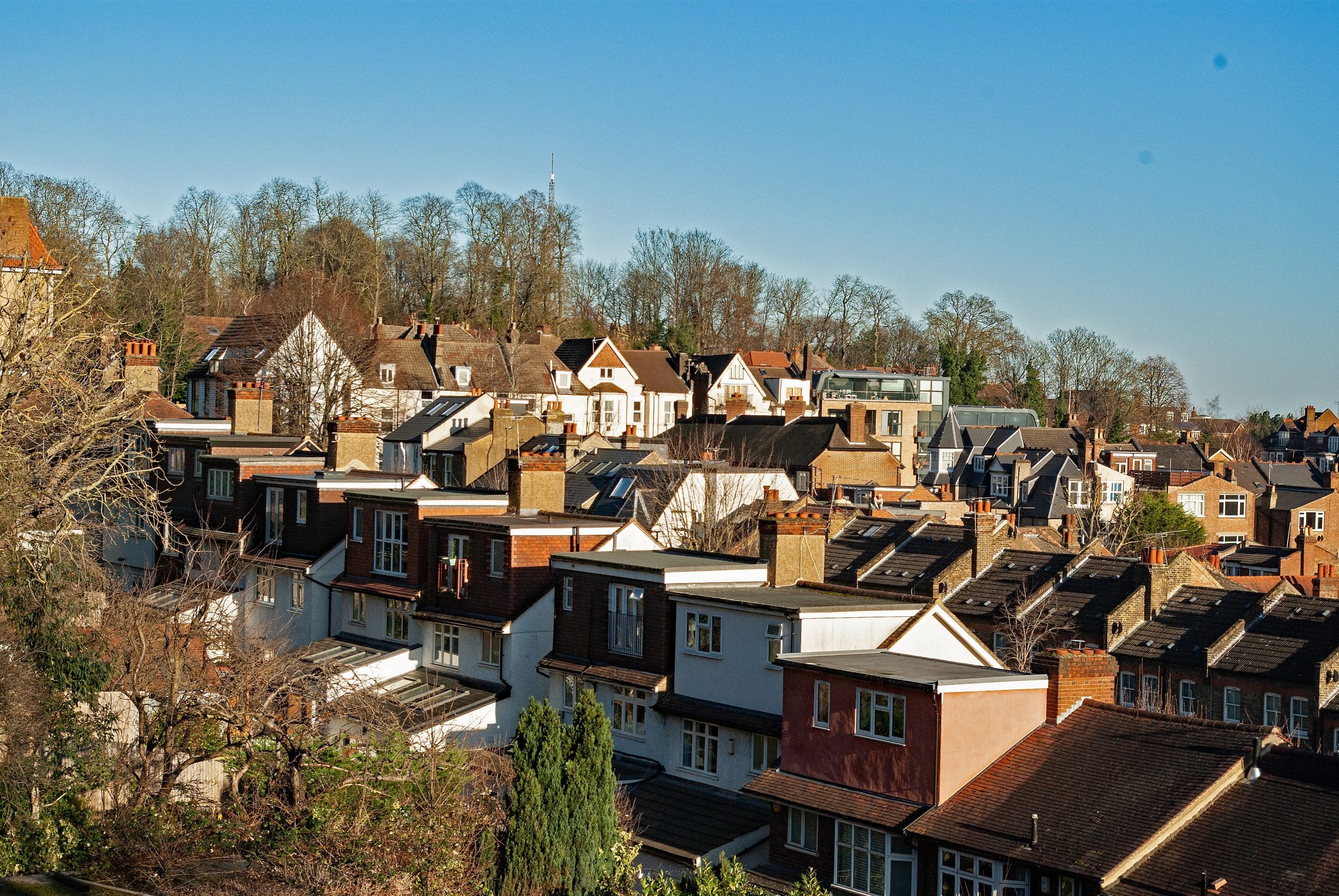 View across the rooftops of Edwardian houses in Muswell Hill