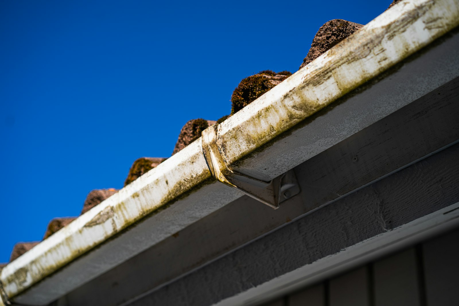 Dirty, debris-filled gutters along a roof edge, the kind of blockage that makes valleys overflow and leak