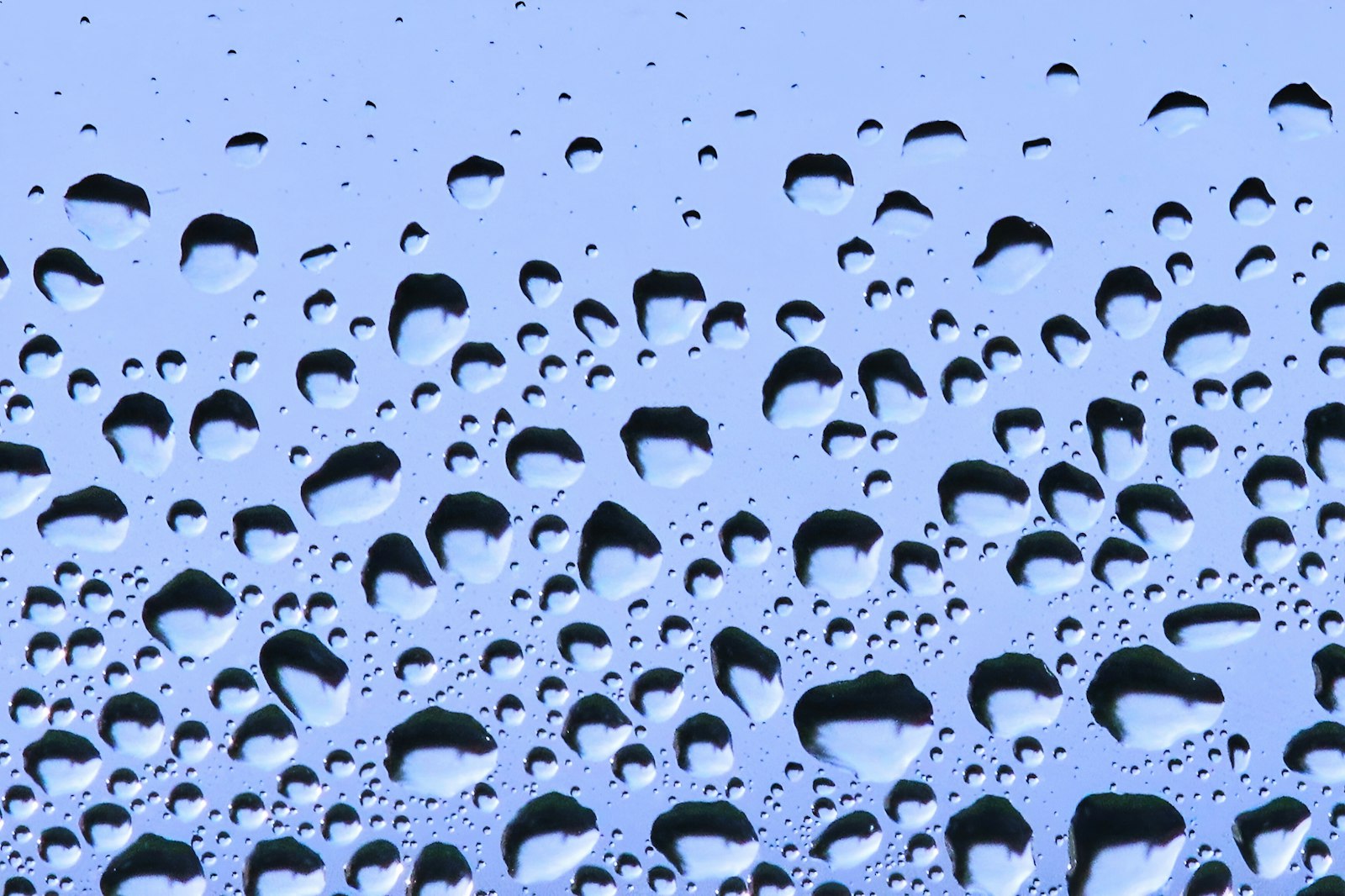 Heavy condensation running down a window, the kind of internal moisture that can mimic a roof leak